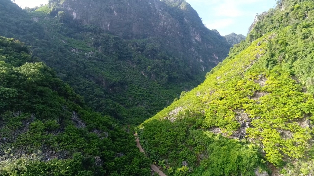 Ứng dụng khoa học kỹ thuật thâm canh cây na rải vụ | Thái Nguyên TV